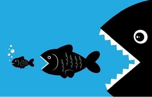 Oracle收购DDoS软件制造商Zenedge